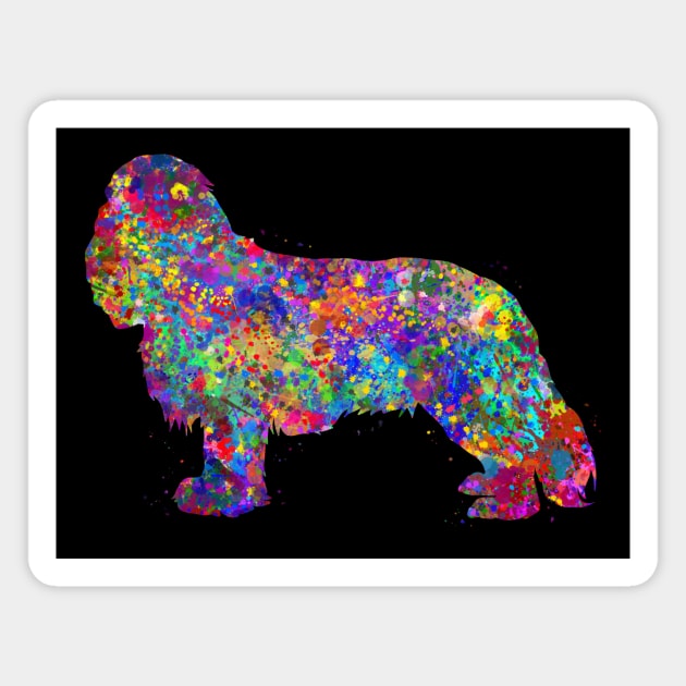 cavalier king charles spaniel dog Magnet by Yahya Art